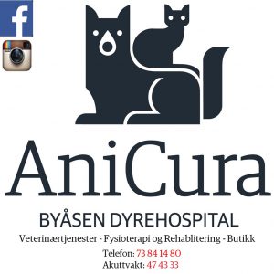 Byaasen_dyrehospital_4