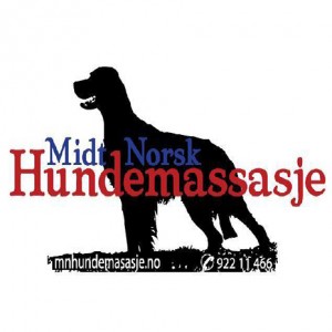 mnhundemassasje-4